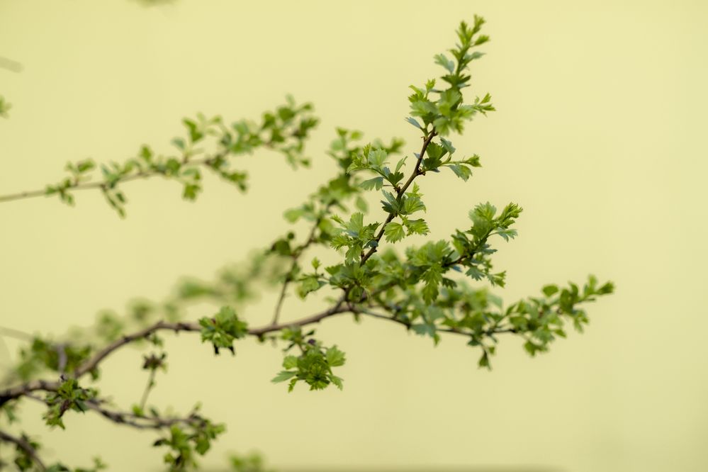 Photograph by Елена Барышева