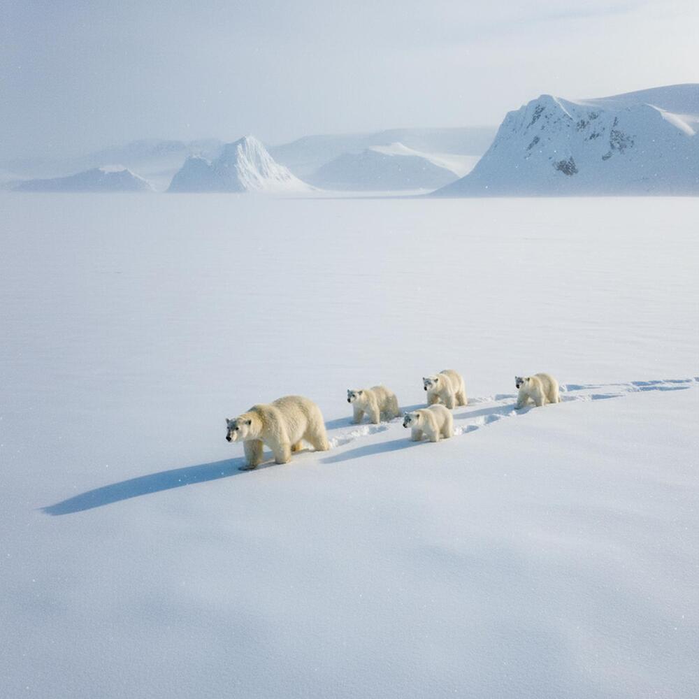 Photograph by Fábio Martins