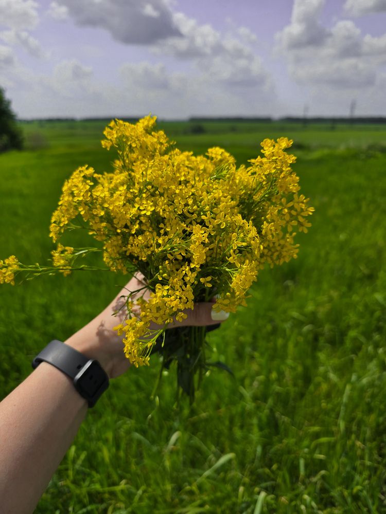 Photograph by Елена Сиушова