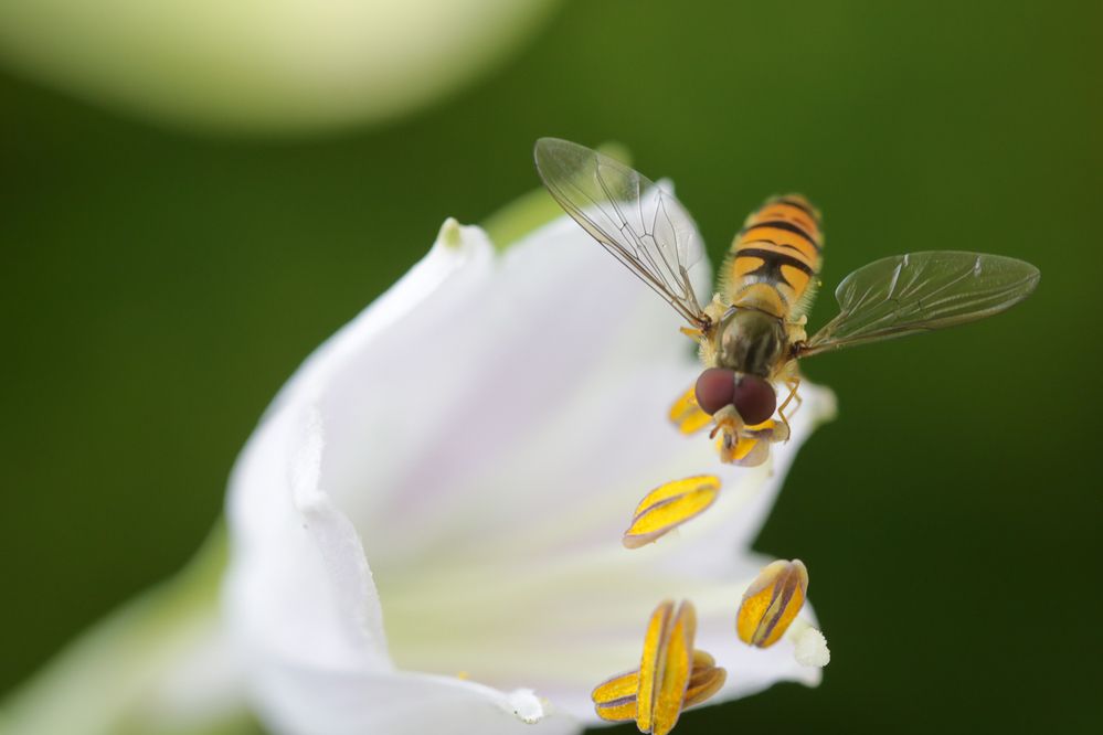 Photograph by Надежда Зайцева