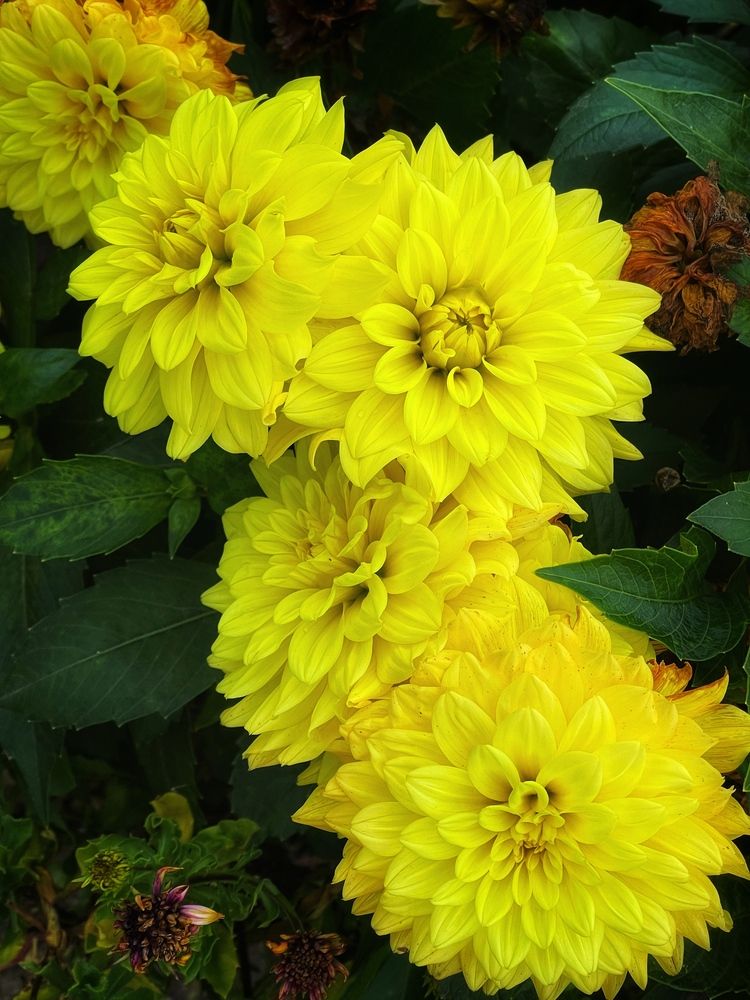 Photograph by Павел Швец