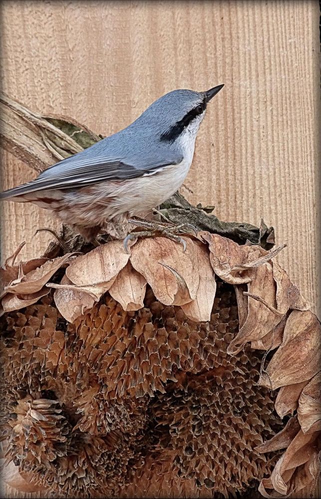 Фотография автора Лидия Киприч