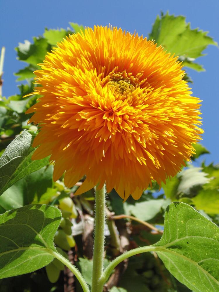 Photograph by Татьяна Стаскевич