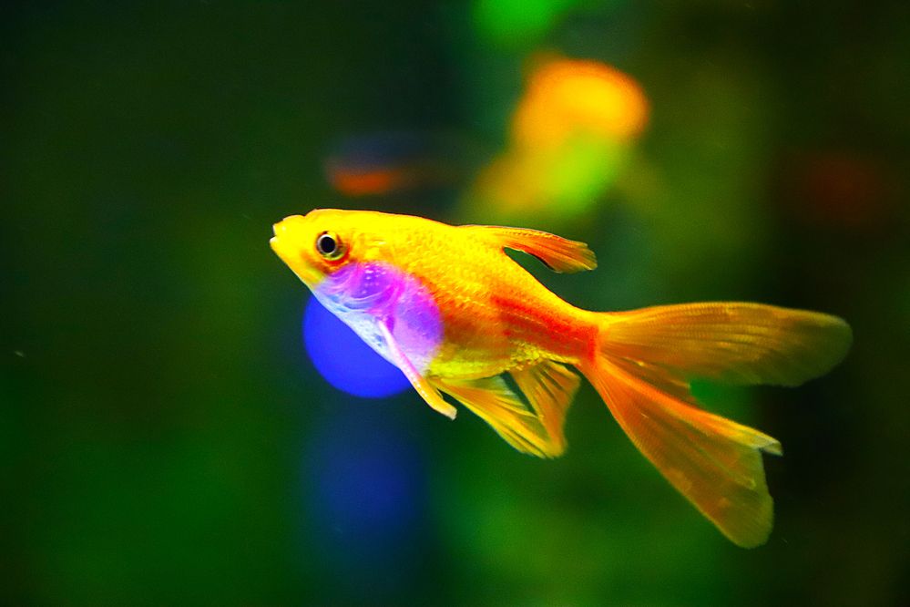 Photograph by Bhanupriya Marke