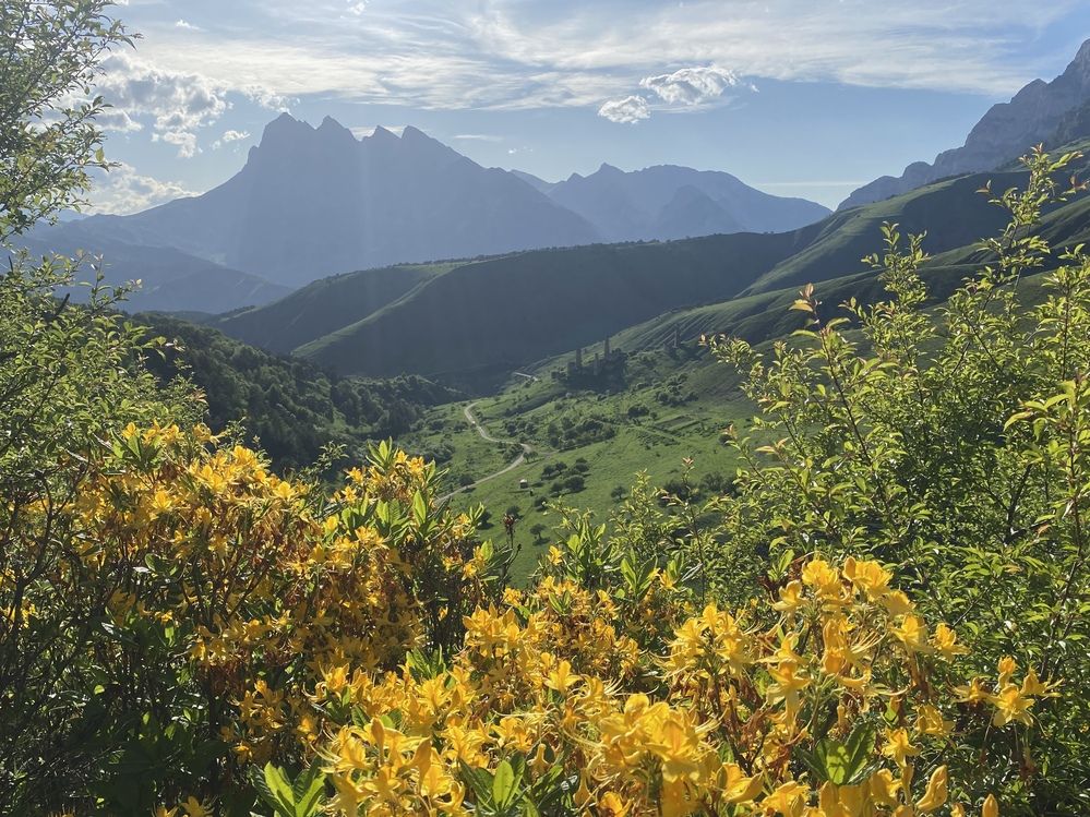 Photograph by Olga Bokareva