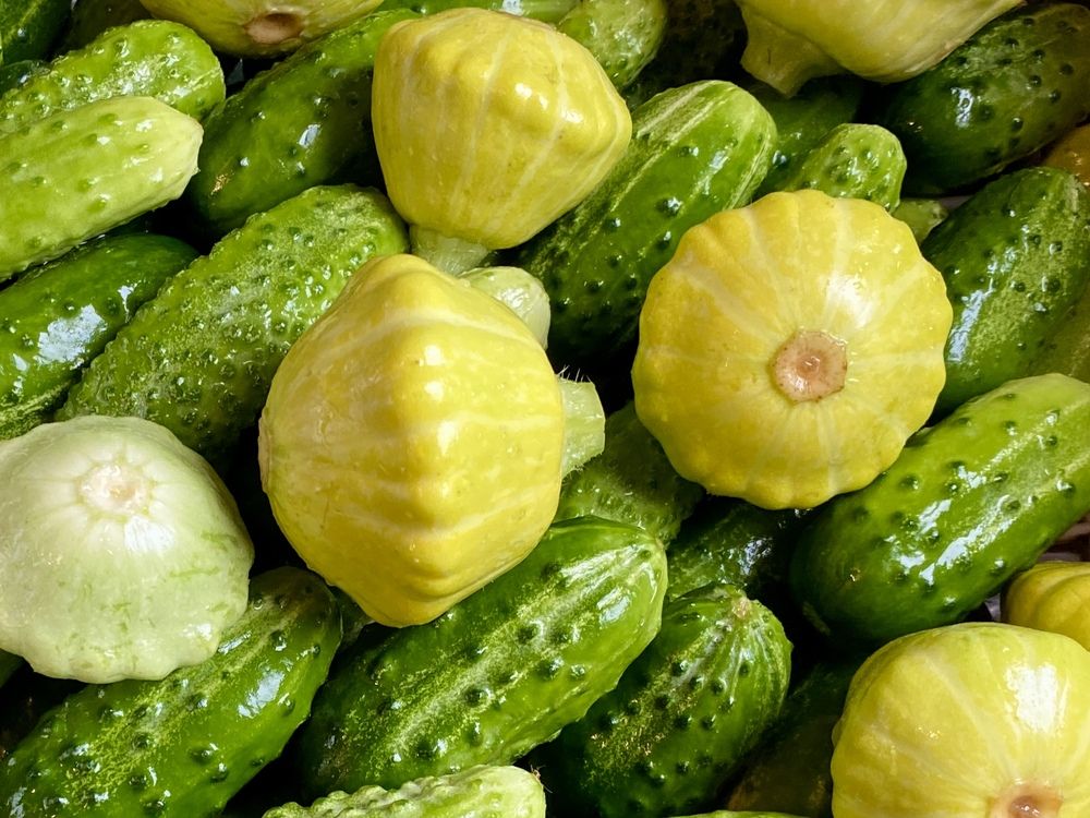 Photograph by Olga Bokareva