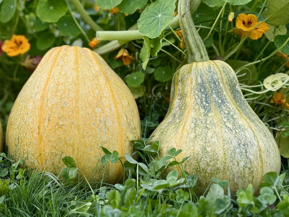 Photograph by Olga Bokareva