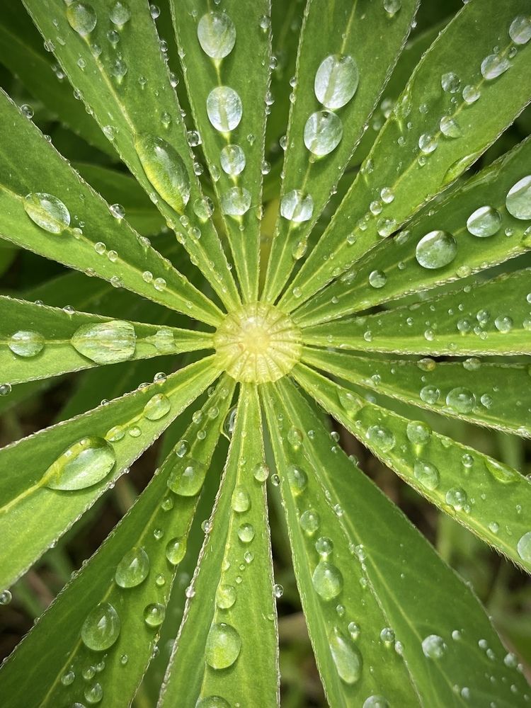 Photograph by Olga Bokareva