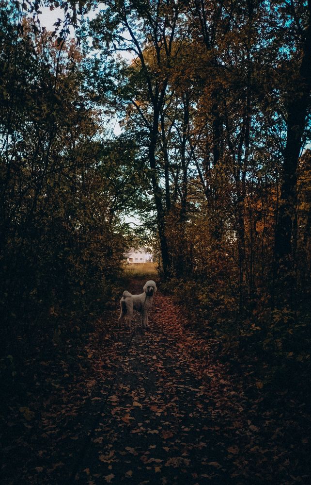 Photograph by Людмила Горячева