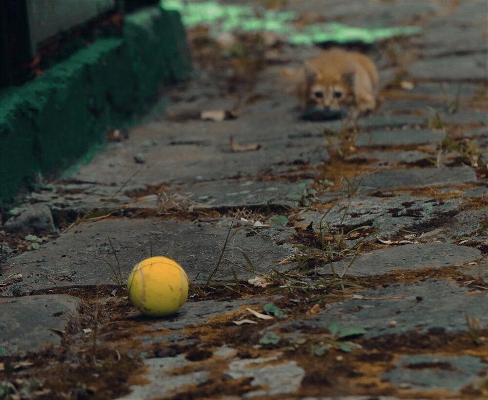 Photograph by Татьяна Полоцкая