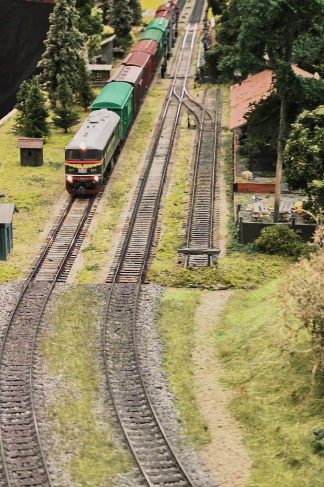 Photograph by Анастасия Свиридова