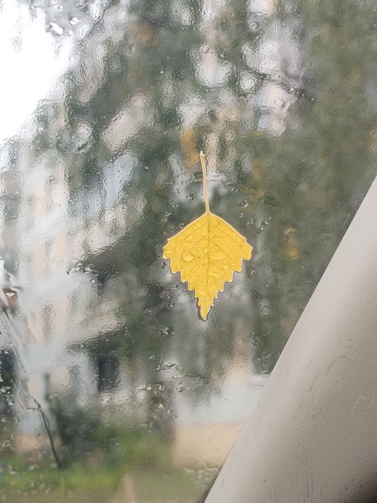 Photograph by Юлия Ю.