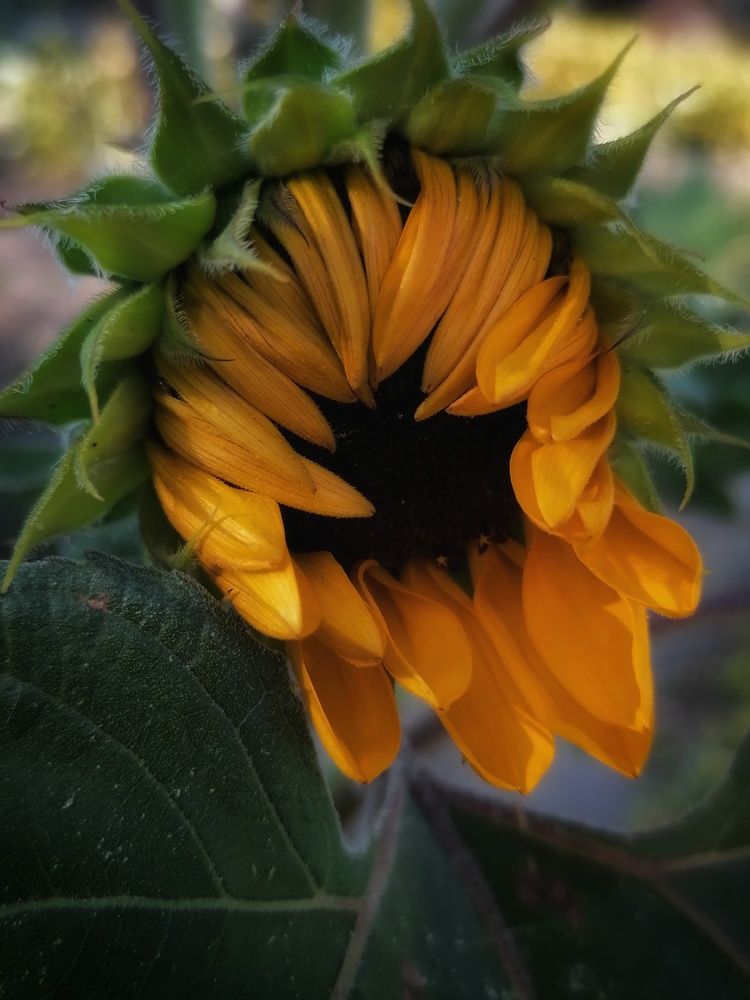Photograph by Анжелика