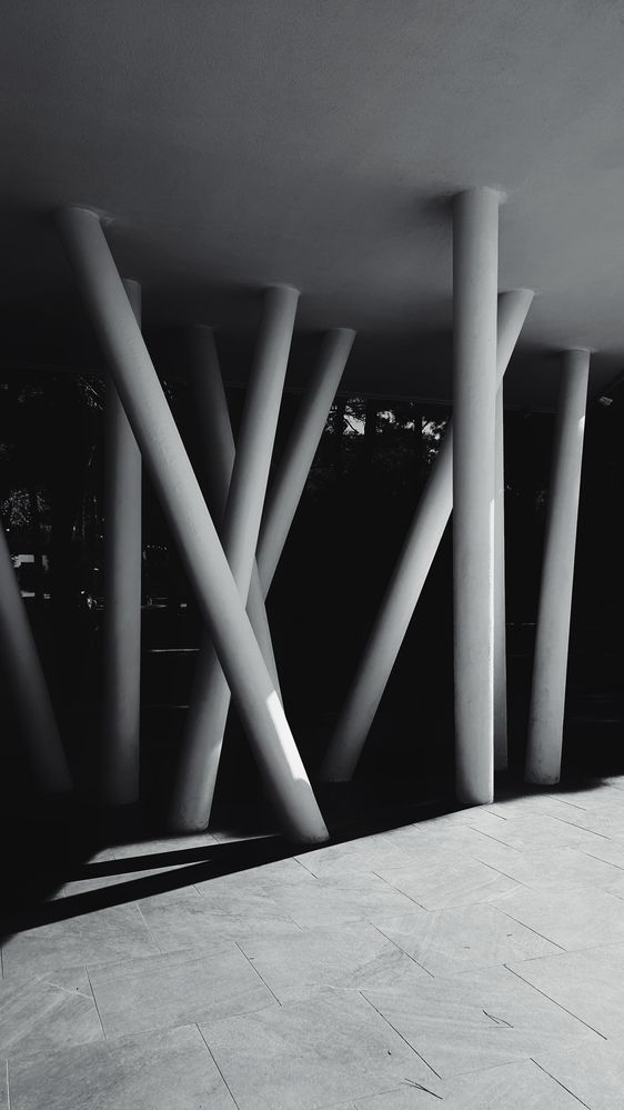 Photograph by Magic Helios