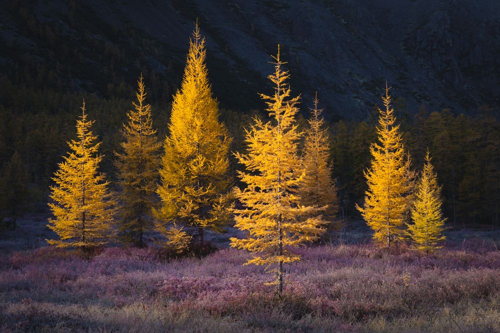 Photograph by Mikhail Ioannisian