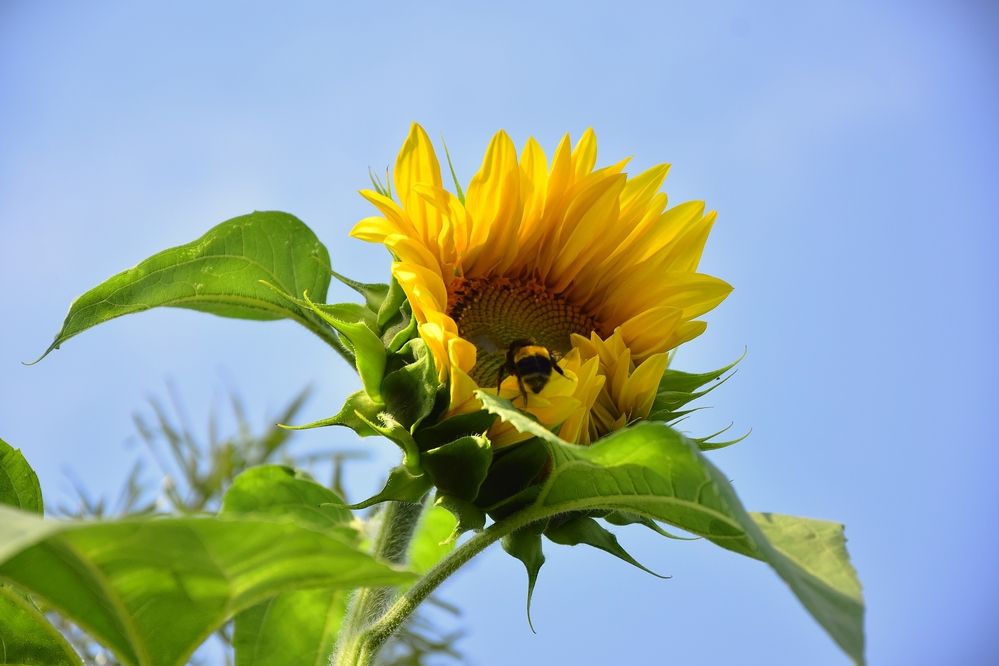 Фотография автора Альбина Хвастунова