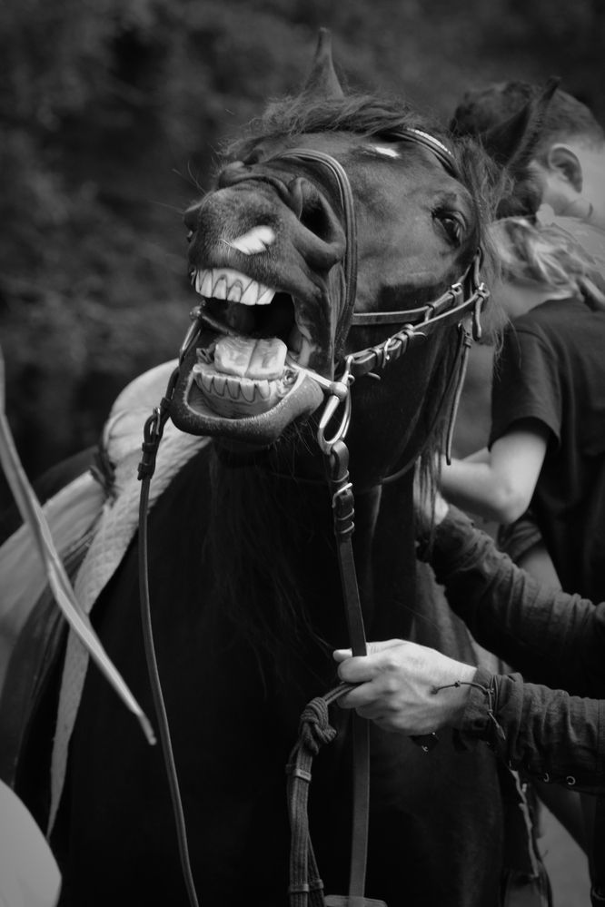 Photograph by Oleg Chemodanov