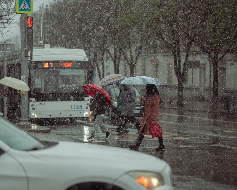 Photograph by Артём Гуцалюк