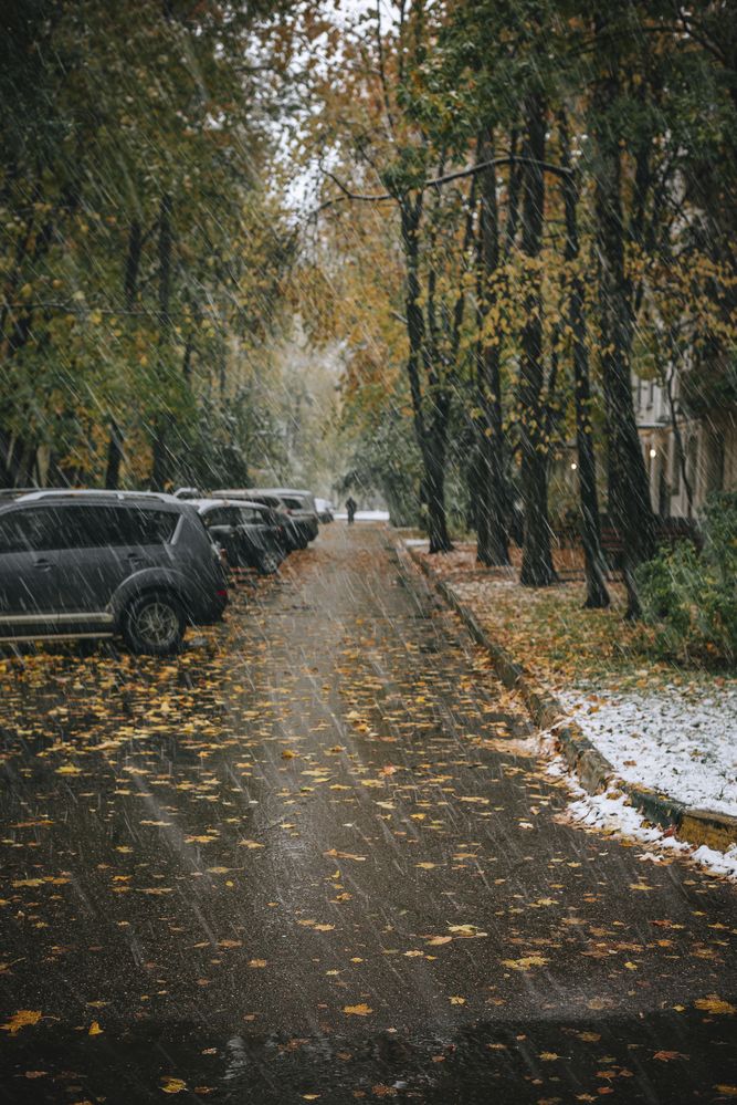 Фотография автора Карина Шарова