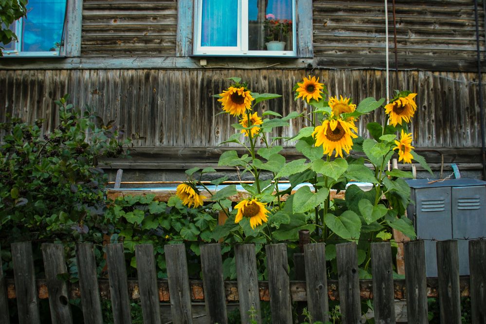 Photograph by Наталья Колеватова