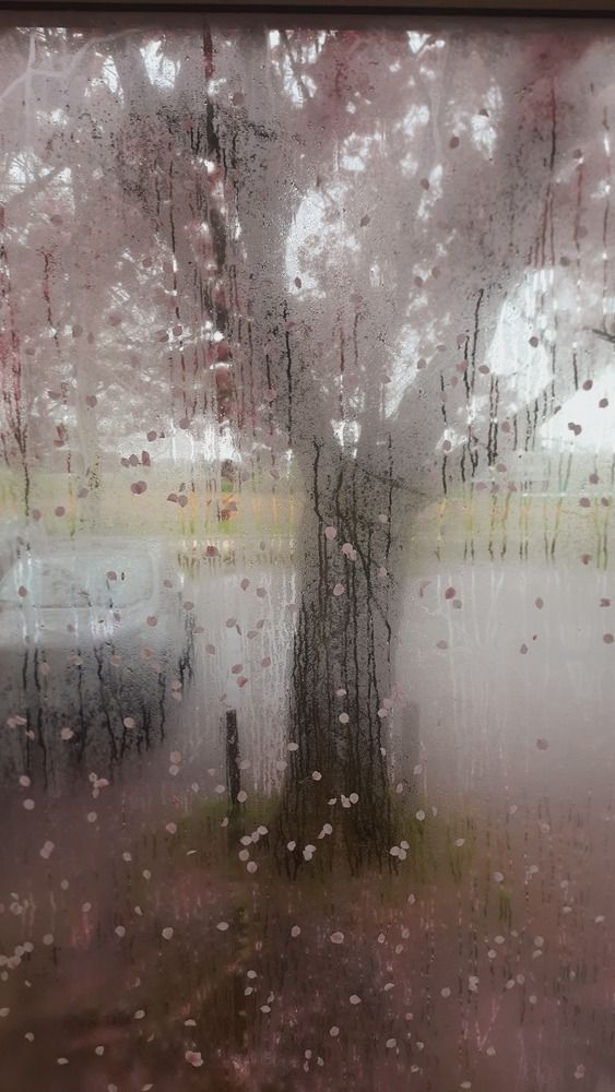 Photograph by SAMEERA MADUSHANTHA MUTHUKUDA ARACHCHIGE