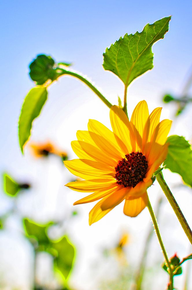 Photograph by Luis Rodríguez Araiza