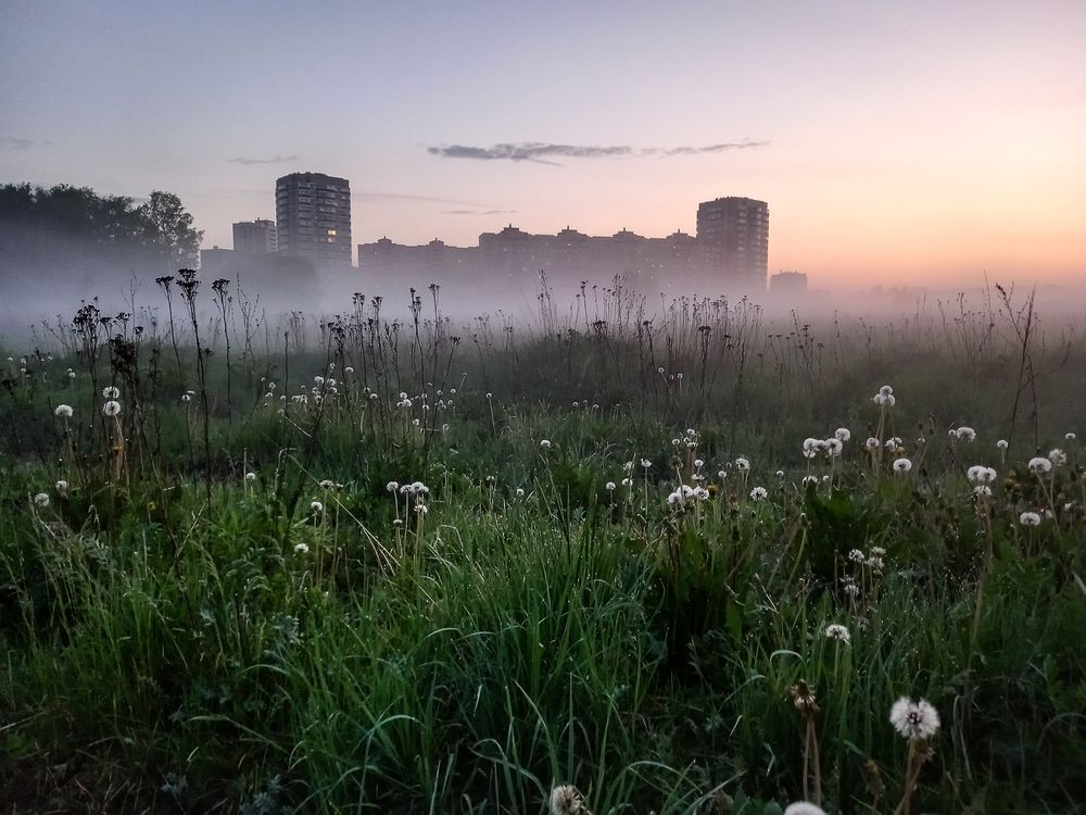 Photograph by Наталья Колеватова