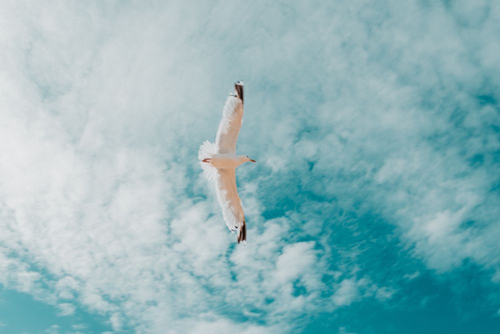 Photograph by Раиса Леонова