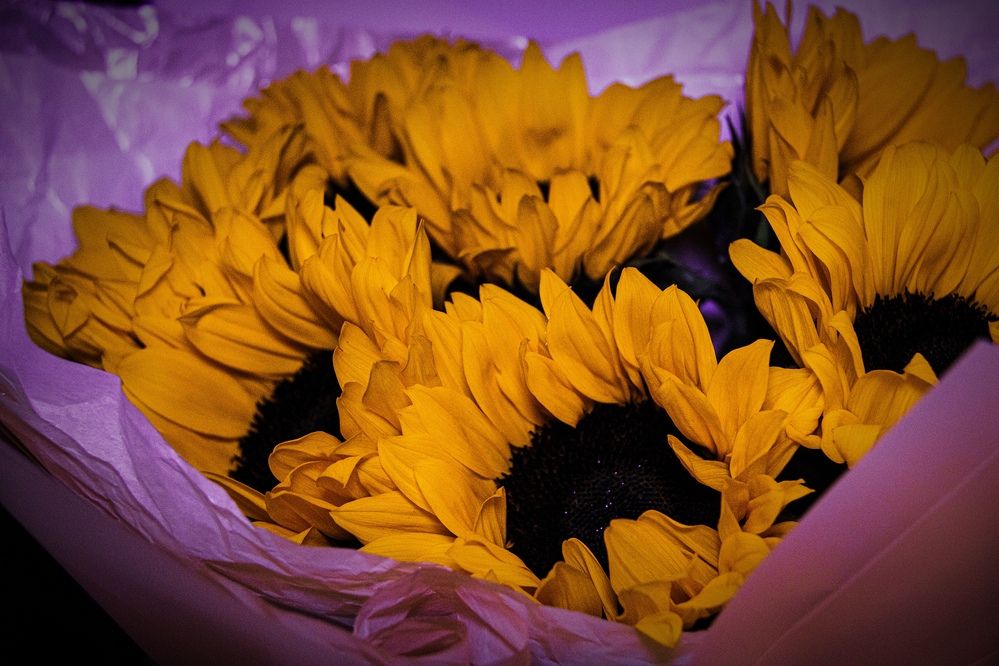 Photograph by Елизавета Дмитриевна