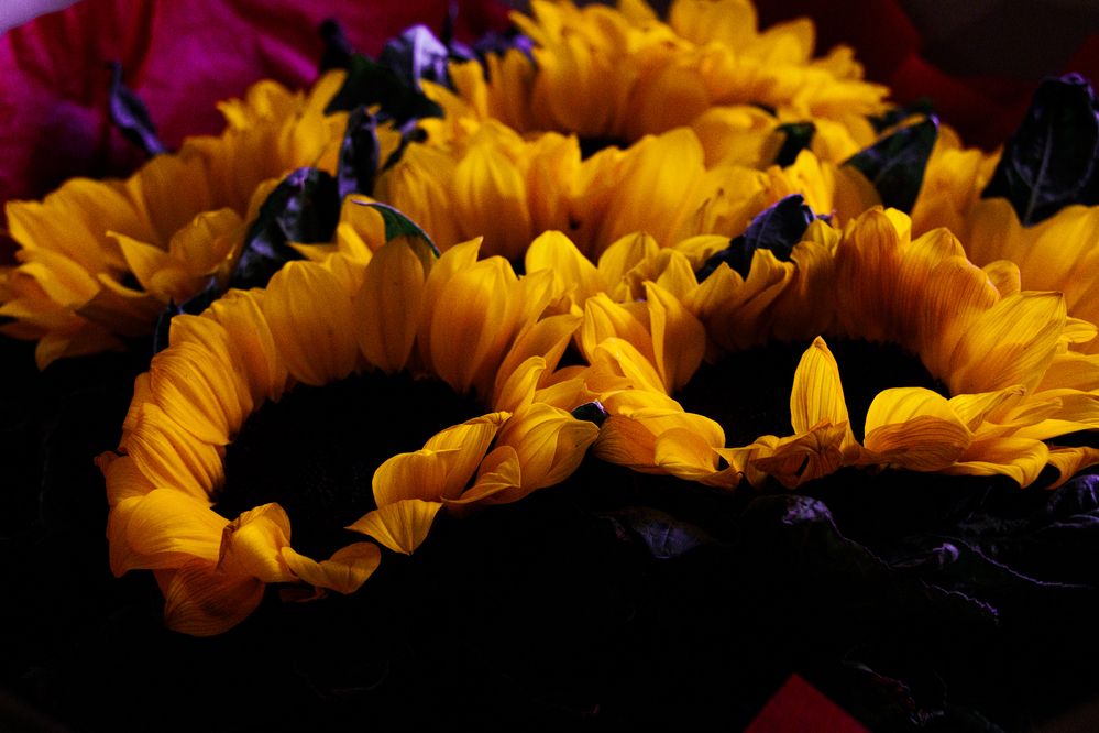 Photograph by Елизавета Дмитриевна