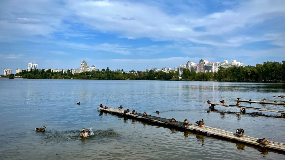 Photograph by Марина Козлова