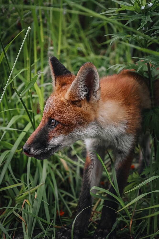 Photograph by Nick Kolosov