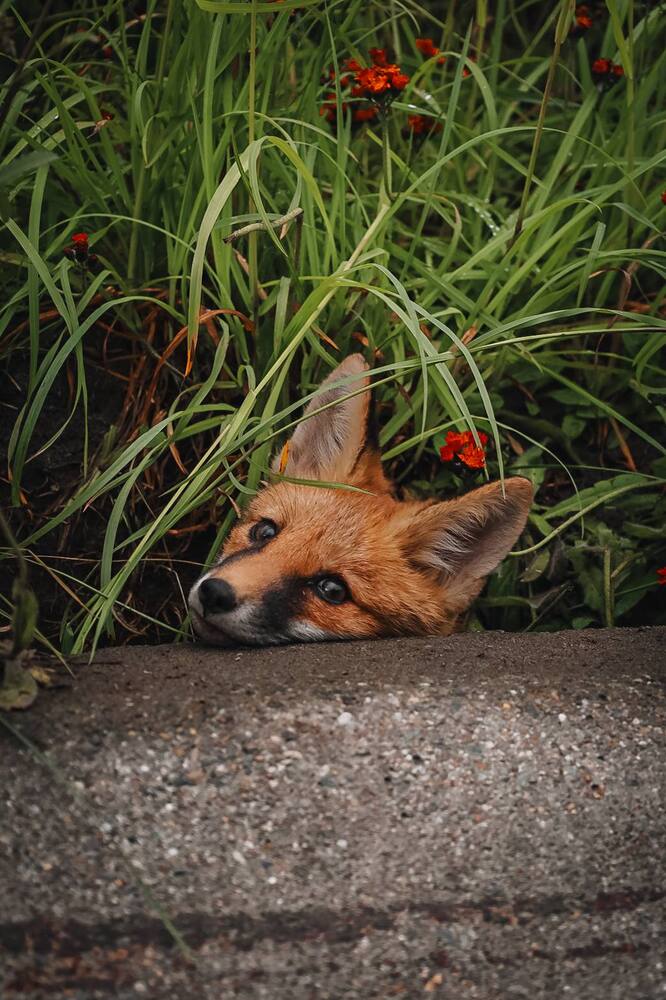 Photograph by Nick Kolosov