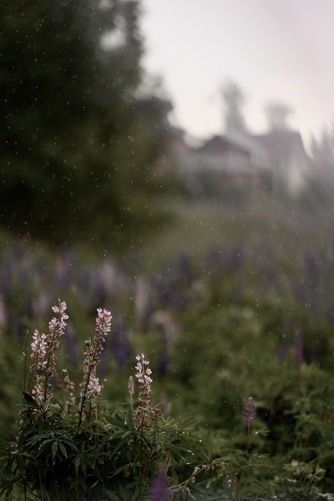 Photograph by Ольга Беспалько