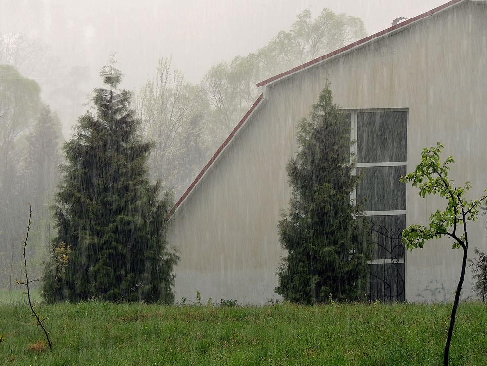 Фотография автора Роман Савоцкий