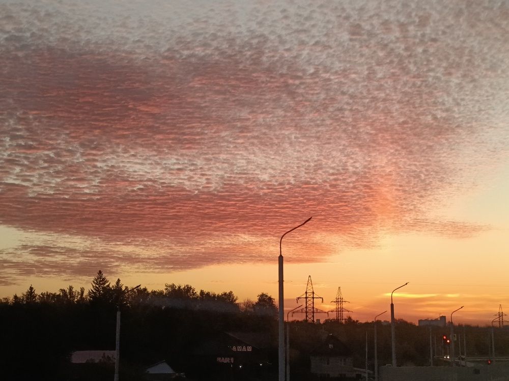 Photograph by Albina Rahimova