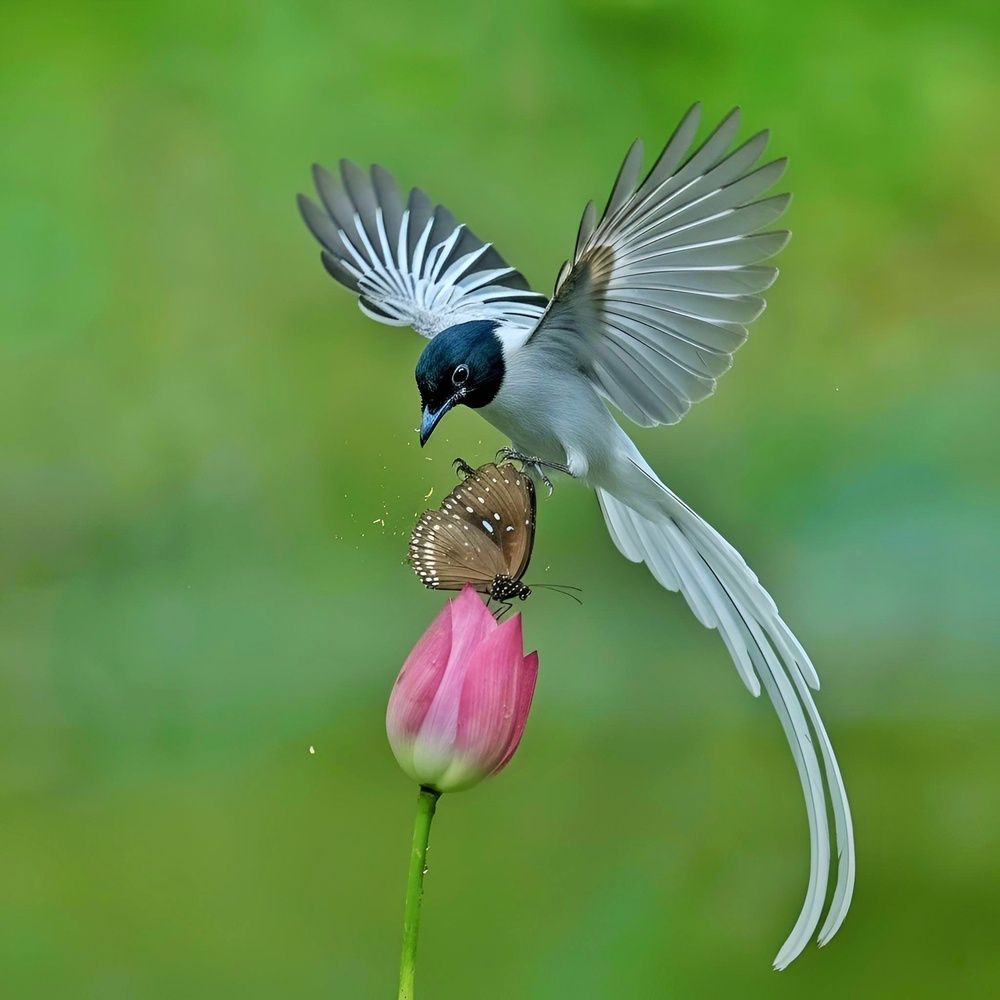 Photograph by Tinku Sardar