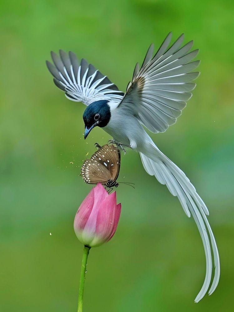 Photograph by Tinku Sardar