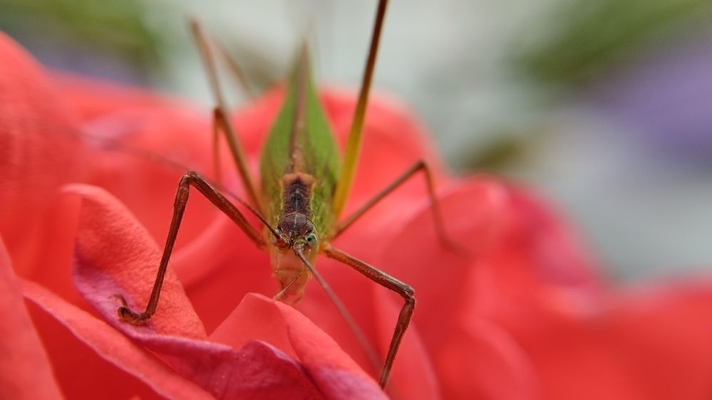 Photograph by Сергей Юрьевич