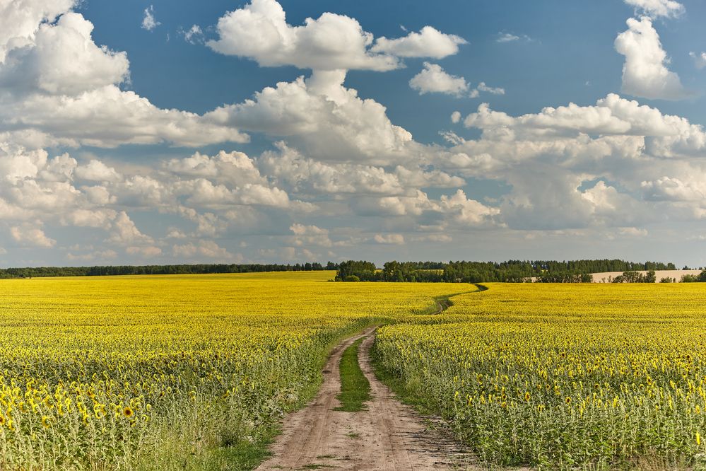 Фотография автора Александр Еремин