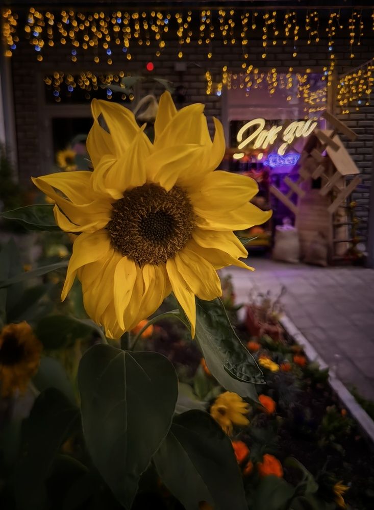 Photograph by Maiya Bulatova