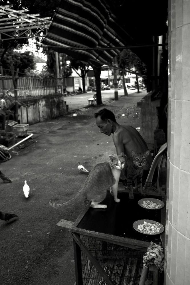 Фотография автора Huy Nguyen