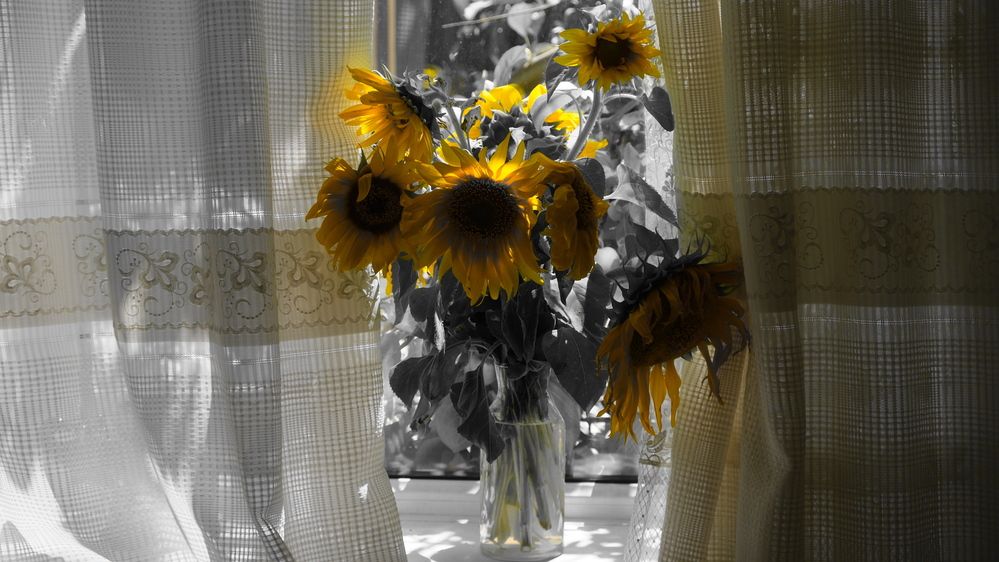 Photograph by Яна Истоцкая