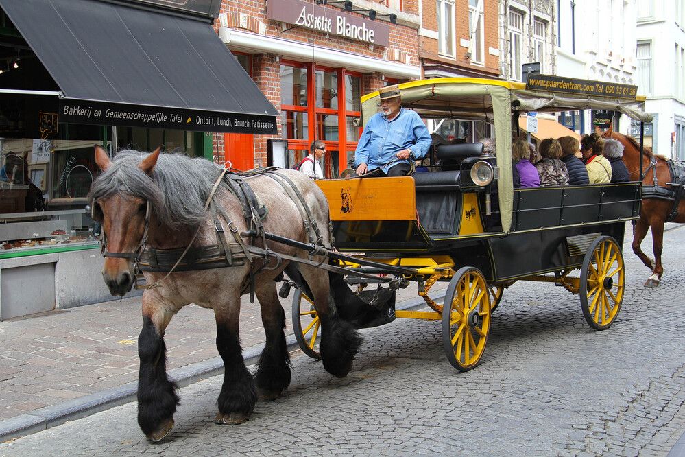 Фотография автора Юрий Еремин