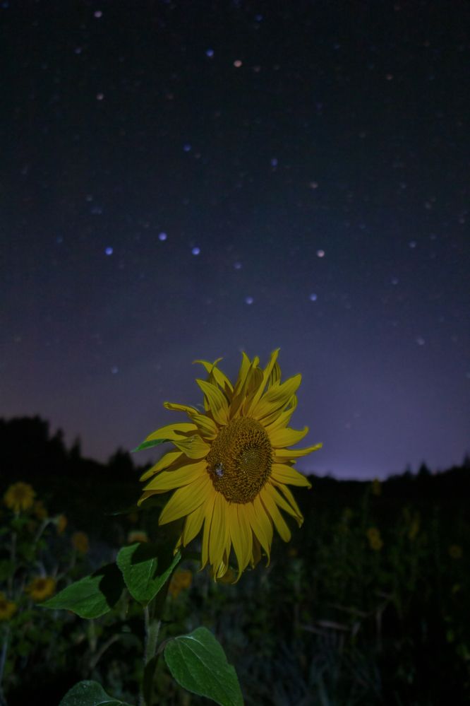 Photograph by Станислав Хаземов
