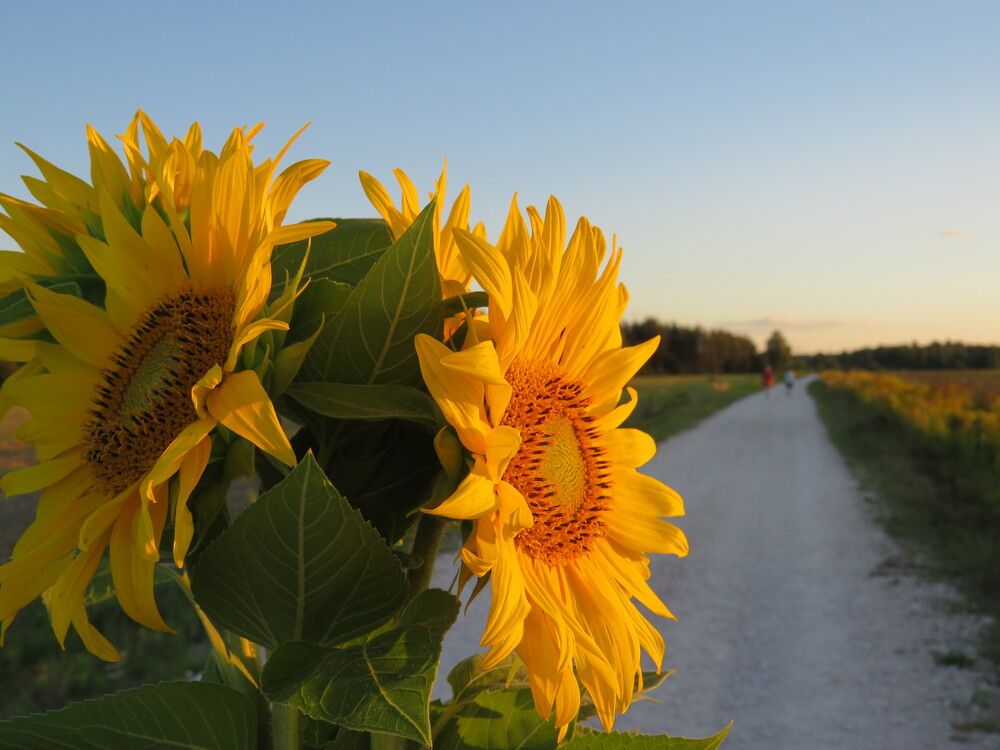 Photograph by Елена Кузина