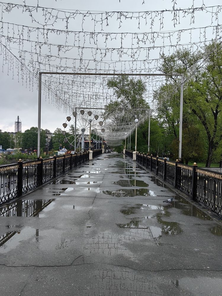 Photograph by OLGA MIKHNEVICH