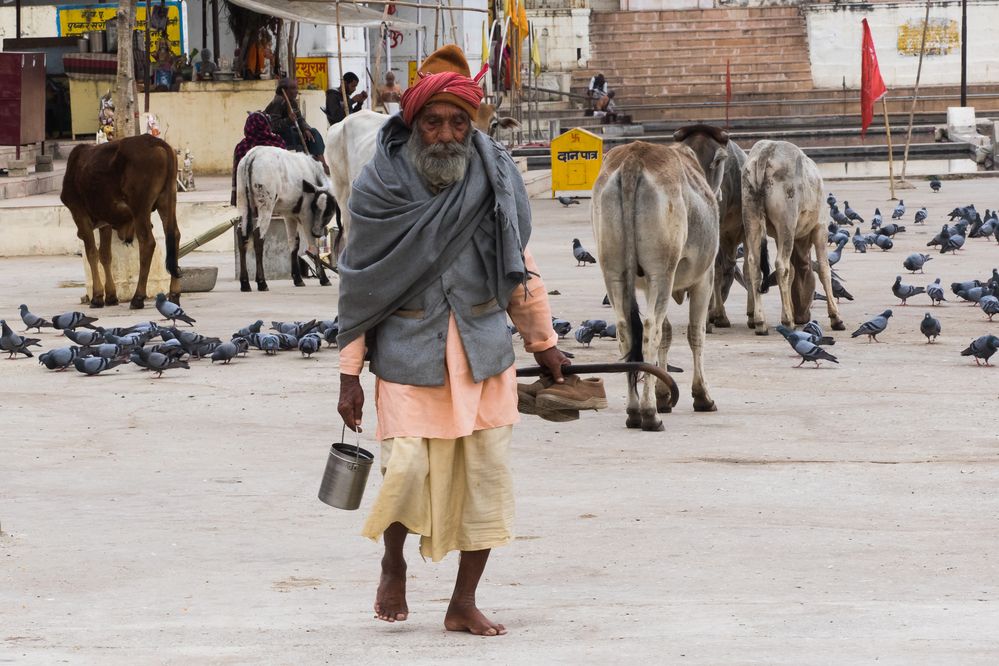 Photograph by Марина Маликова