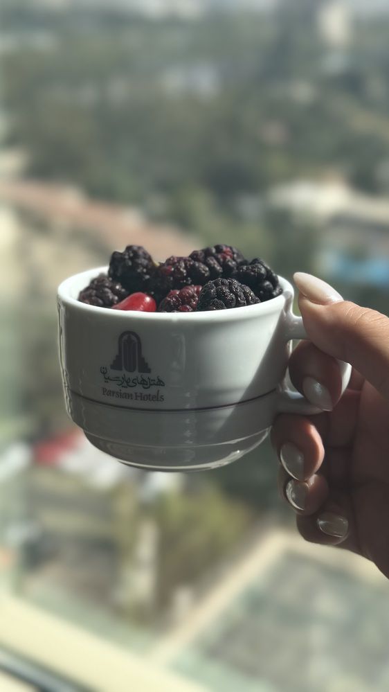 Фотография автора shima tabatabai