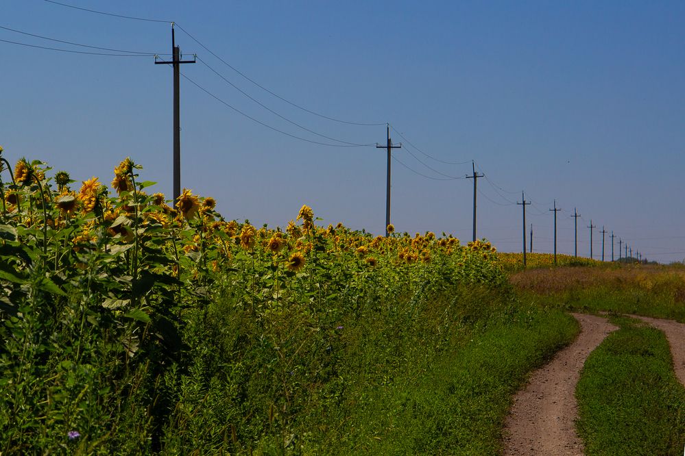 Фотография автора Екатерина Першина